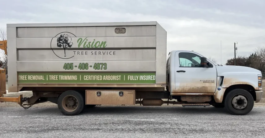 The Legal Breakdown: Tree Maintenance Cost