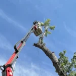 Storm Damage Prevention